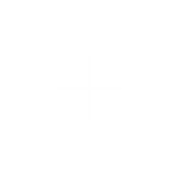 BDNS Logo